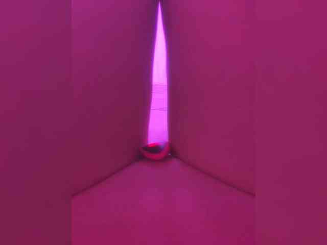 Trin_