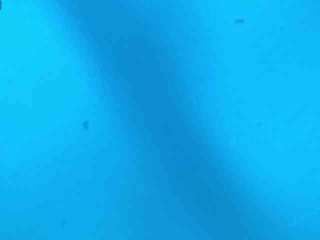 cinthya11 webcam