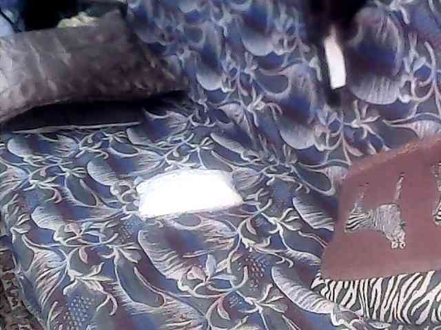 Victoria-sexi webcam