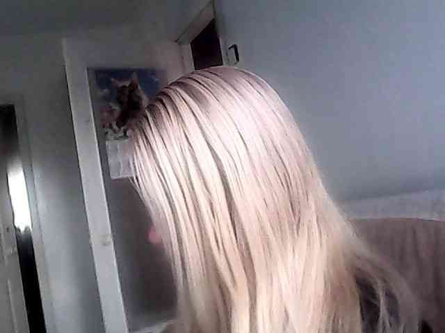 Victoria-sexi webcam