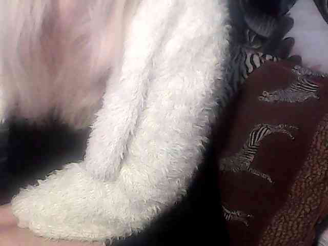 Victoria-sexi webcam