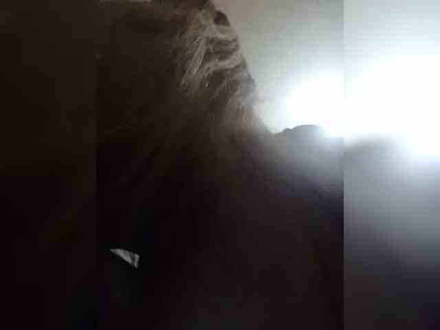 Victoria-sexi webcam