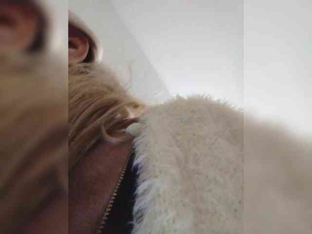 Victoria-sexi webcam