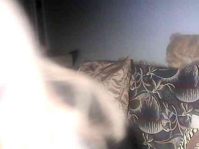 Victoria-sexi webcam