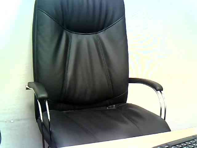 WWoollff75 WWoollff75