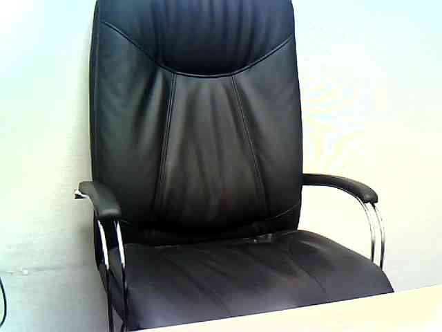 WWoollff75 WWoollff75