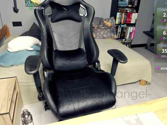 Web-cam-ange1 Web-cam-ange1