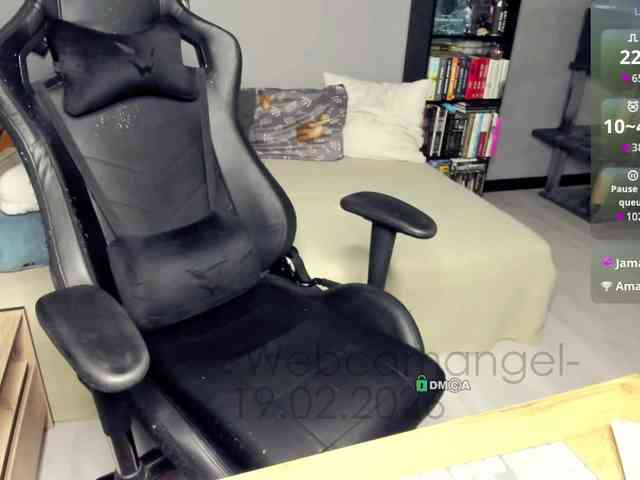 Web-cam-ange1 Web-cam-ange1