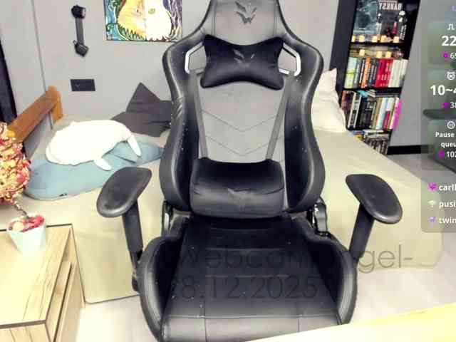 -Web-cam-angel- webcam