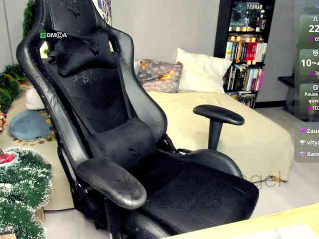 Web-cam-ange1 Web-cam-ange1