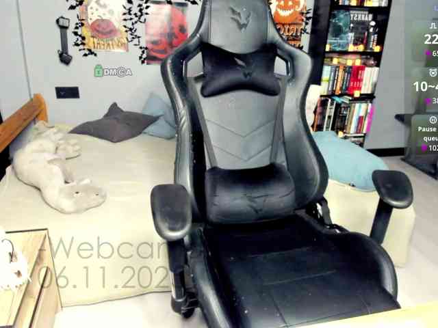 Web-cam-ange1 Web-cam-ange1