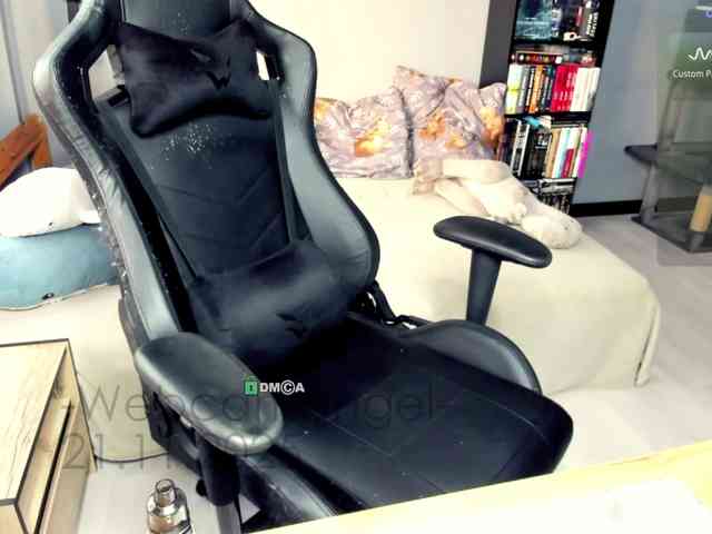 Web-cam-ange1 Web-cam-ange1