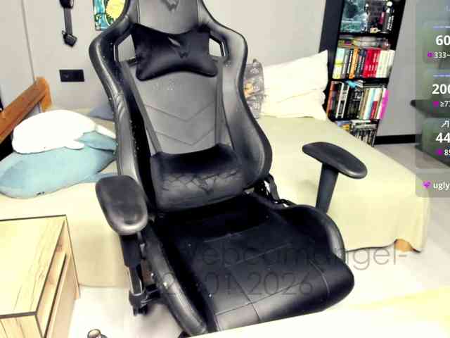 -Web-cam-angel- webcam