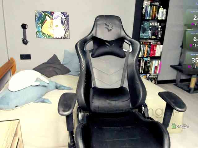 Web-cam-ange1 Web-cam-ange1