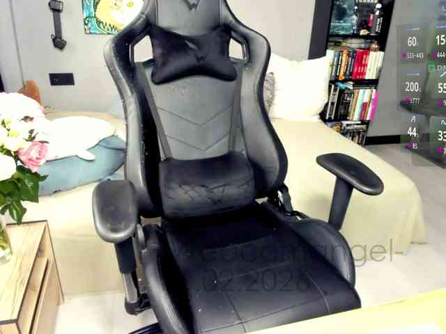 -Web-cam-angel- webcam