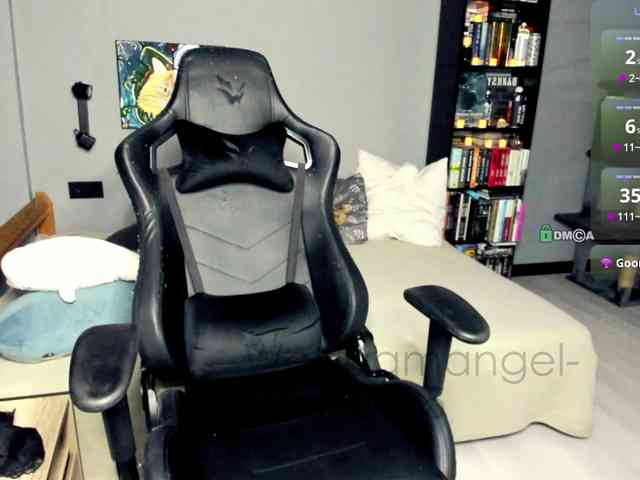 Web-cam-ange1 Web-cam-ange1