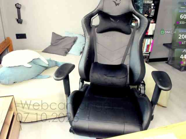 Web-cam-ange1