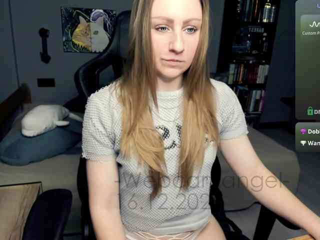 Web-cam-ange1 Web-cam-ange1