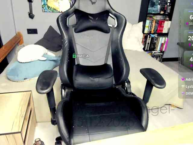 Web-cam-ange1 Web-cam-ange1