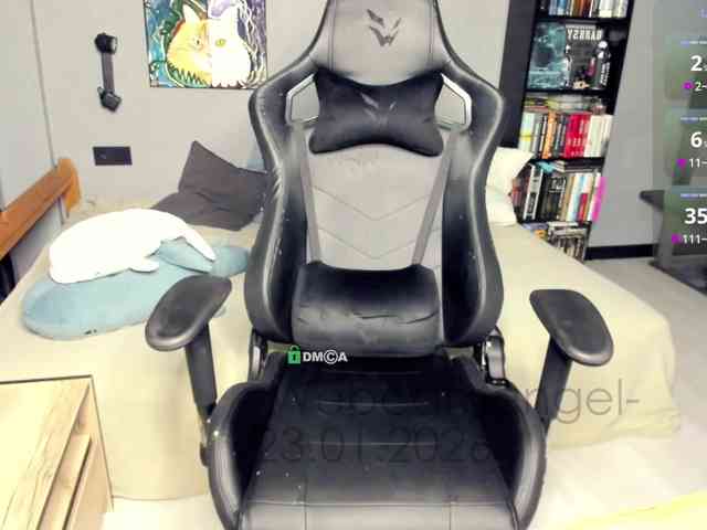 -Web-cam-angel- webcam