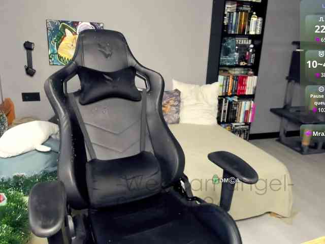 -Web-cam-angel- webcam