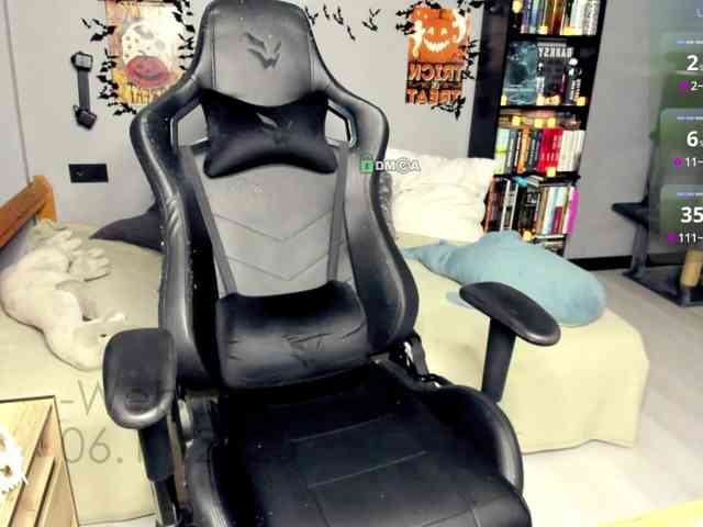 Web-cam-ange1 Web-cam-ange1