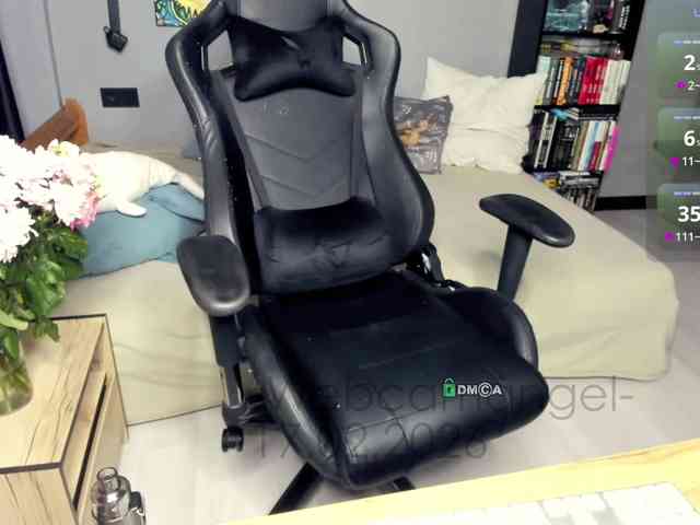 -Web-cam-angel- webcam