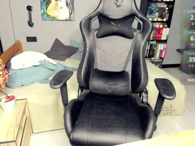 Web-cam-ange1 Web-cam-ange1