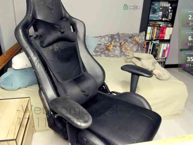 Web-cam-ange1 Web-cam-ange1