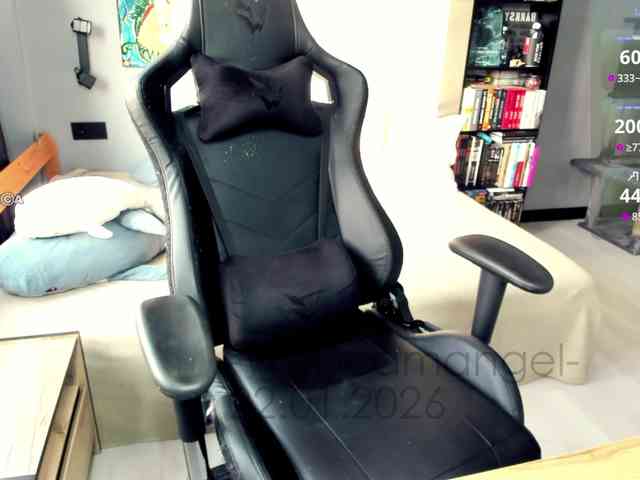 -Web-cam-angel- webcam