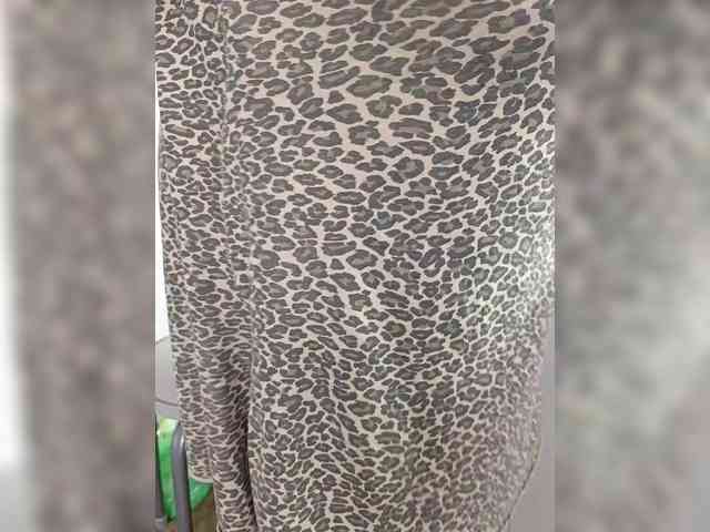 Laskikakvskaz webcam