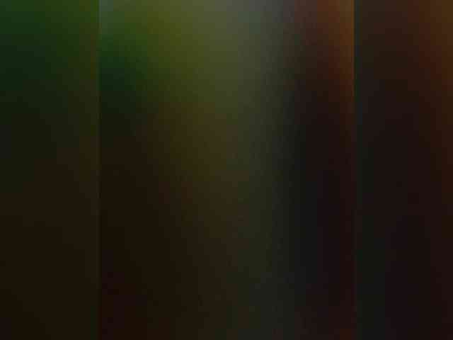 Laskikakvskaz webcam