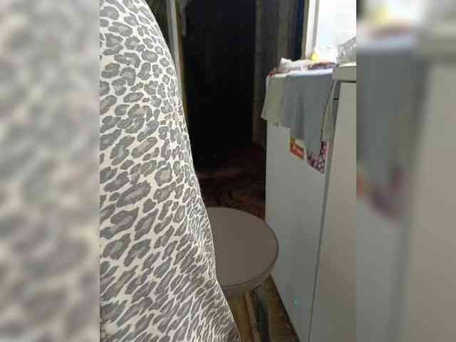 Laskikakvskaz webcam