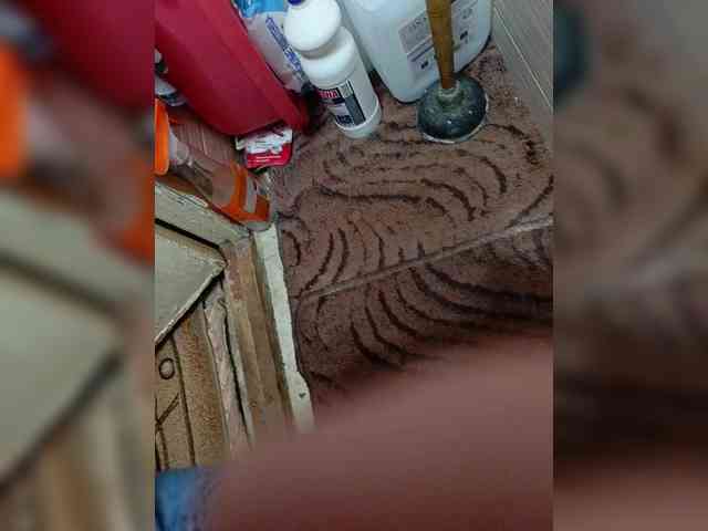 Laskikakvskaz webcam