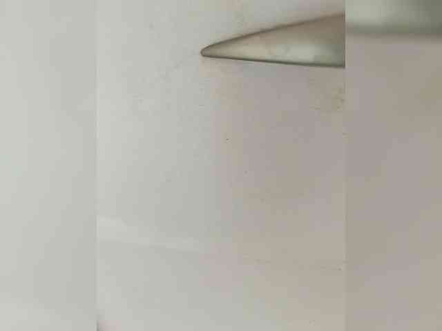 Laskikakvskaz webcam