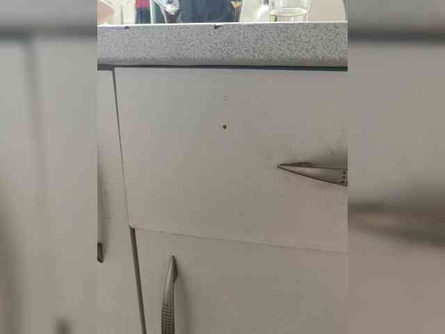 Laskikakvskaz webcam