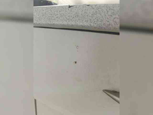 Laskikakvskaz webcam