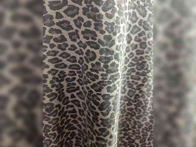 Laskikakvskaz webcam