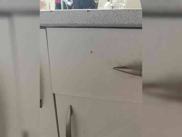 Laskikakvskaz webcam