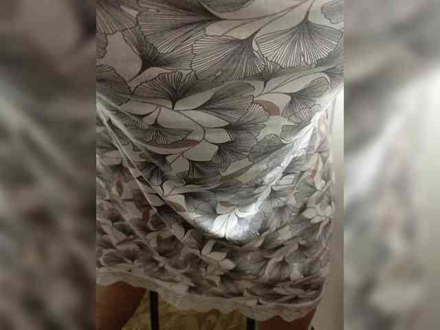 Laskikakvskaz webcam