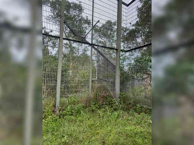 MoanaQliphoth webcam