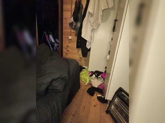 MainPleasure preview