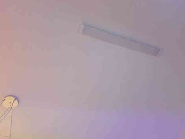 isa-bunny1 webcam