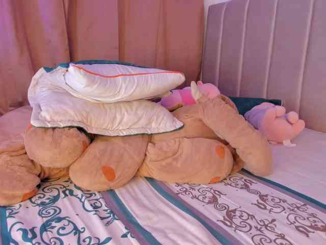 isa-bunny1 webcam