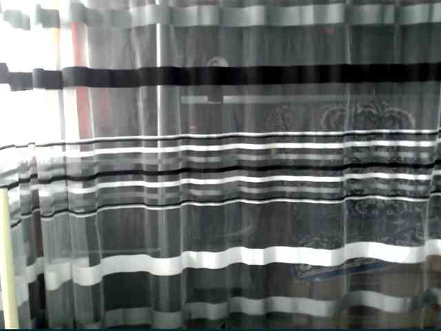 Lollifoxy webcam