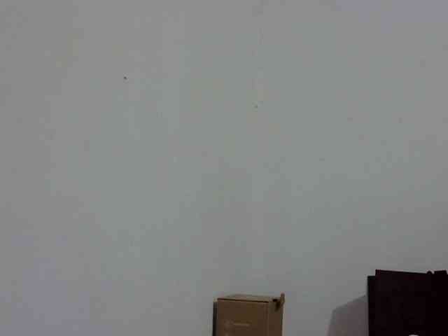 ElizabethMart webcam
