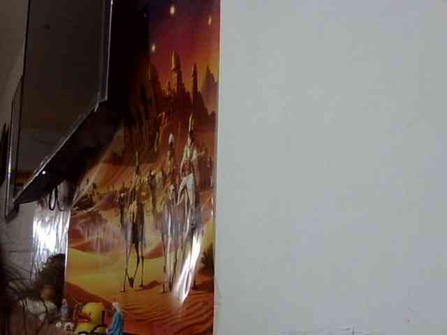 ElizabethMart webcam