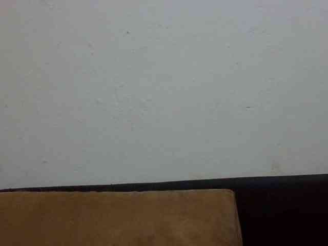 ElizabethMart webcam