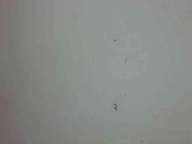 ElizabethMart webcam