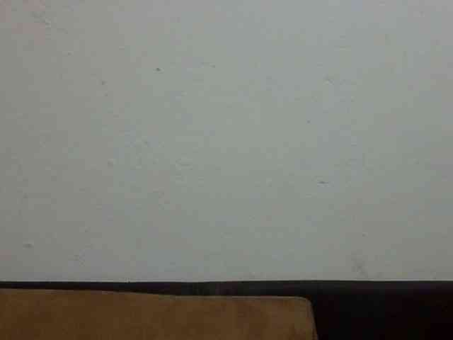 ElizabethMart webcam